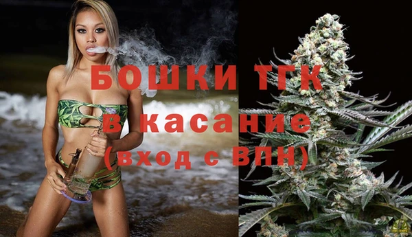 спайс Тайга