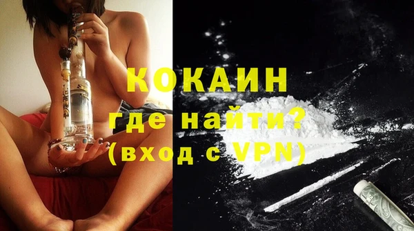спайс Тайга