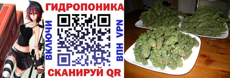 Бошки Шишки ГИДРОПОН  Купить  Волоколамск 